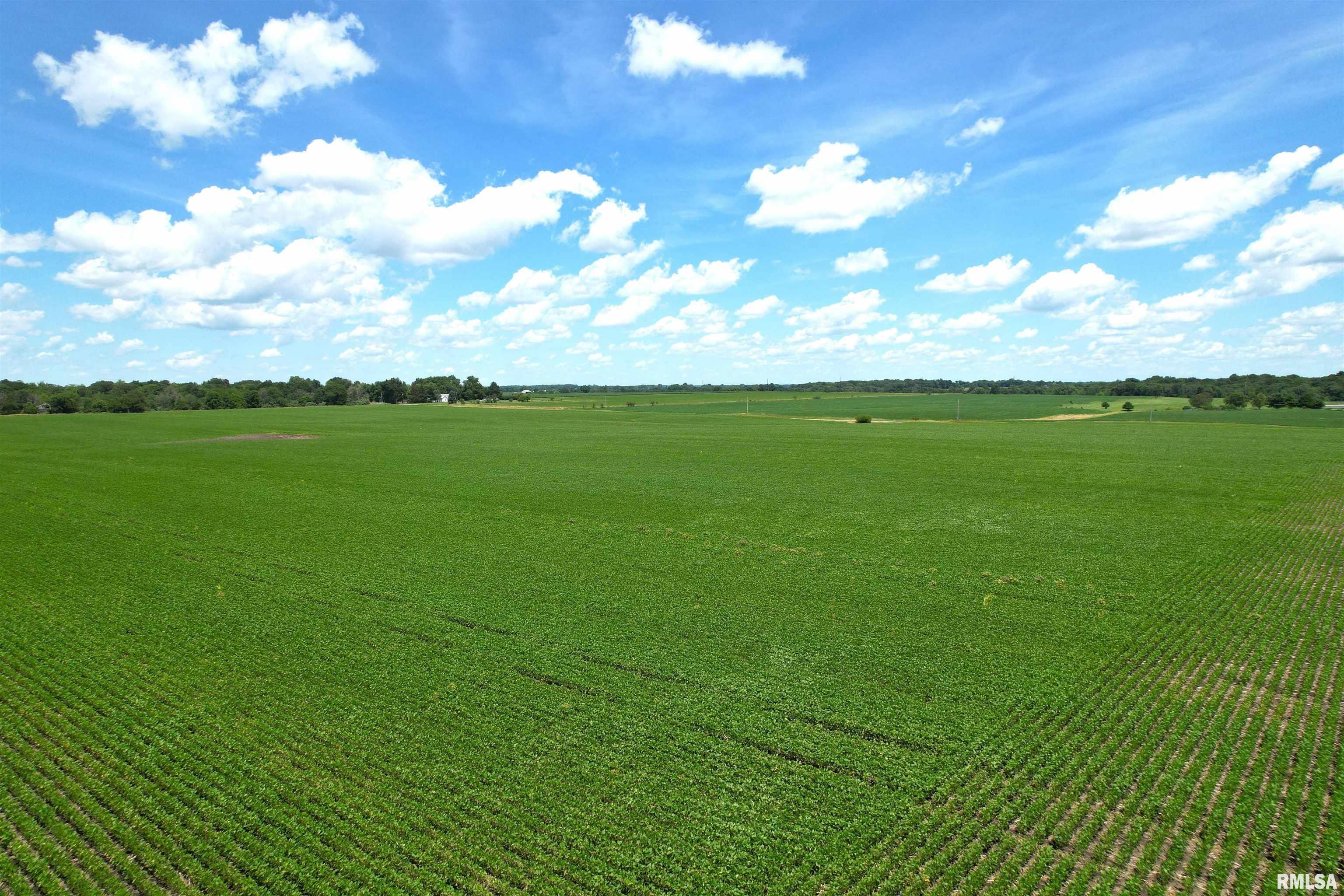 Merritt Blacktop Road Jacksonville, IL 62650 - Photo 6 of 14