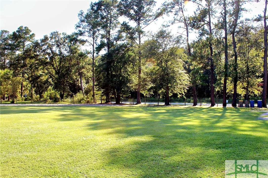 1118 Eldora Road Ellabell, GA 31308 - Photo 8 of 48