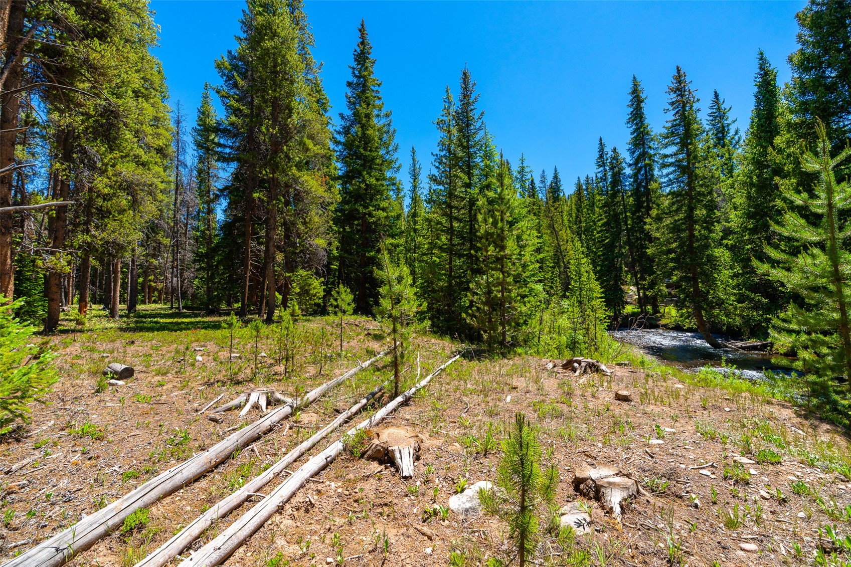 277 Wagon Road Breckenridge, CO 80424 - Photo 48 of 50