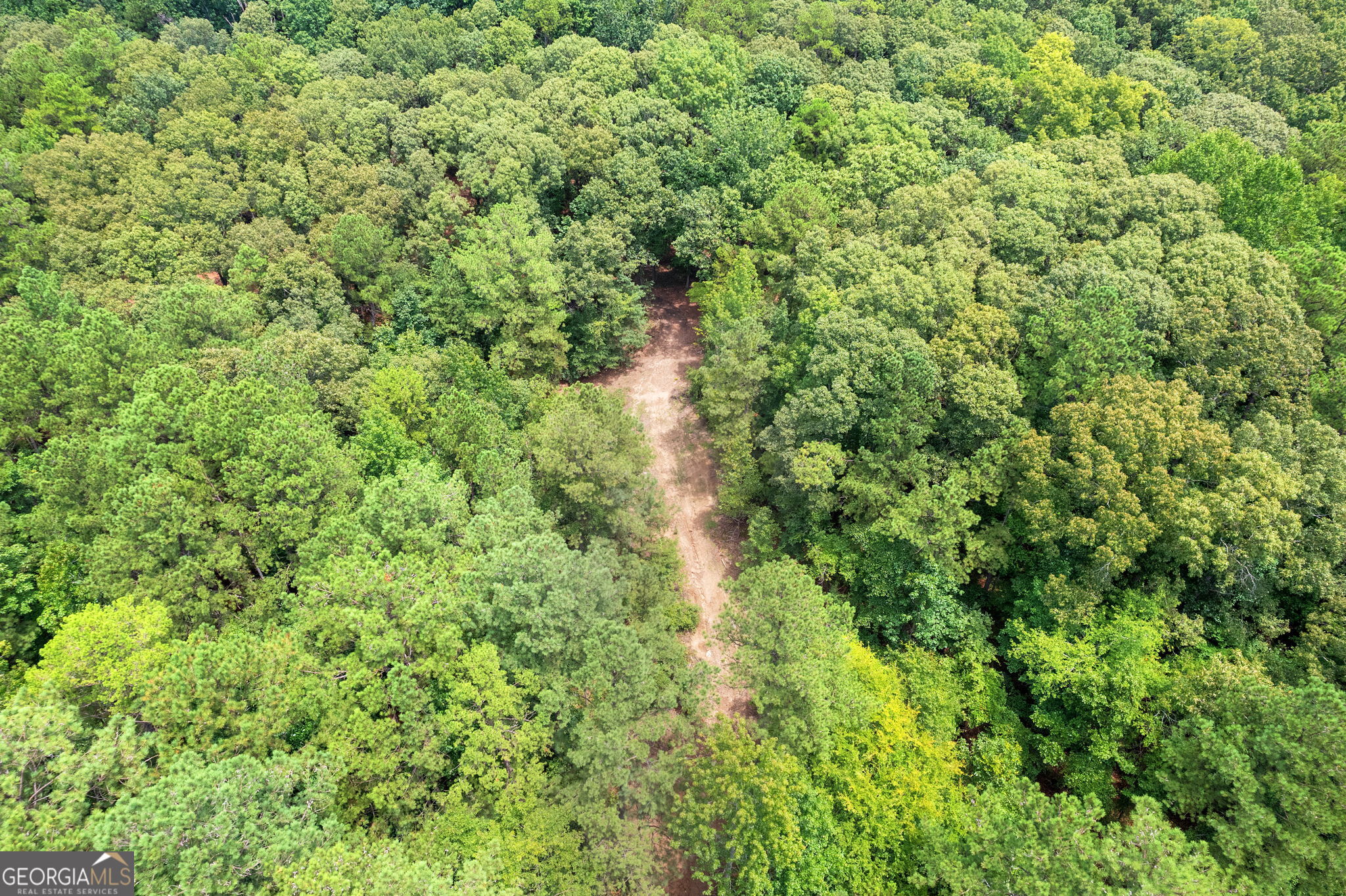 7201 Browns Mill Road Lithonia, GA 30038 - Photo 13 of 29 a view of a forest with a tree