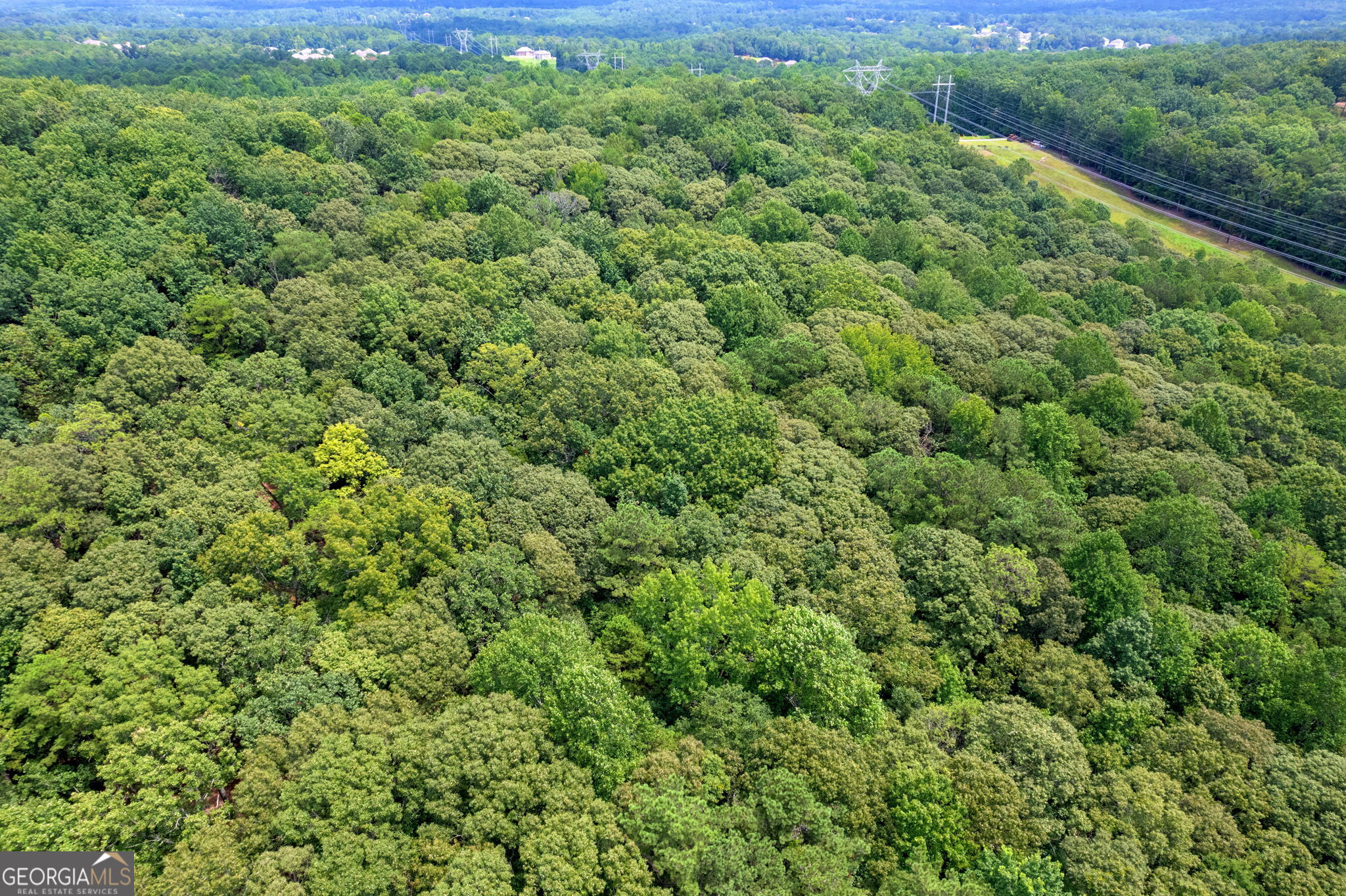7201 Browns Mill Road Lithonia, GA 30038 - Photo 14 of 29 a view of a large yard with lots of green space