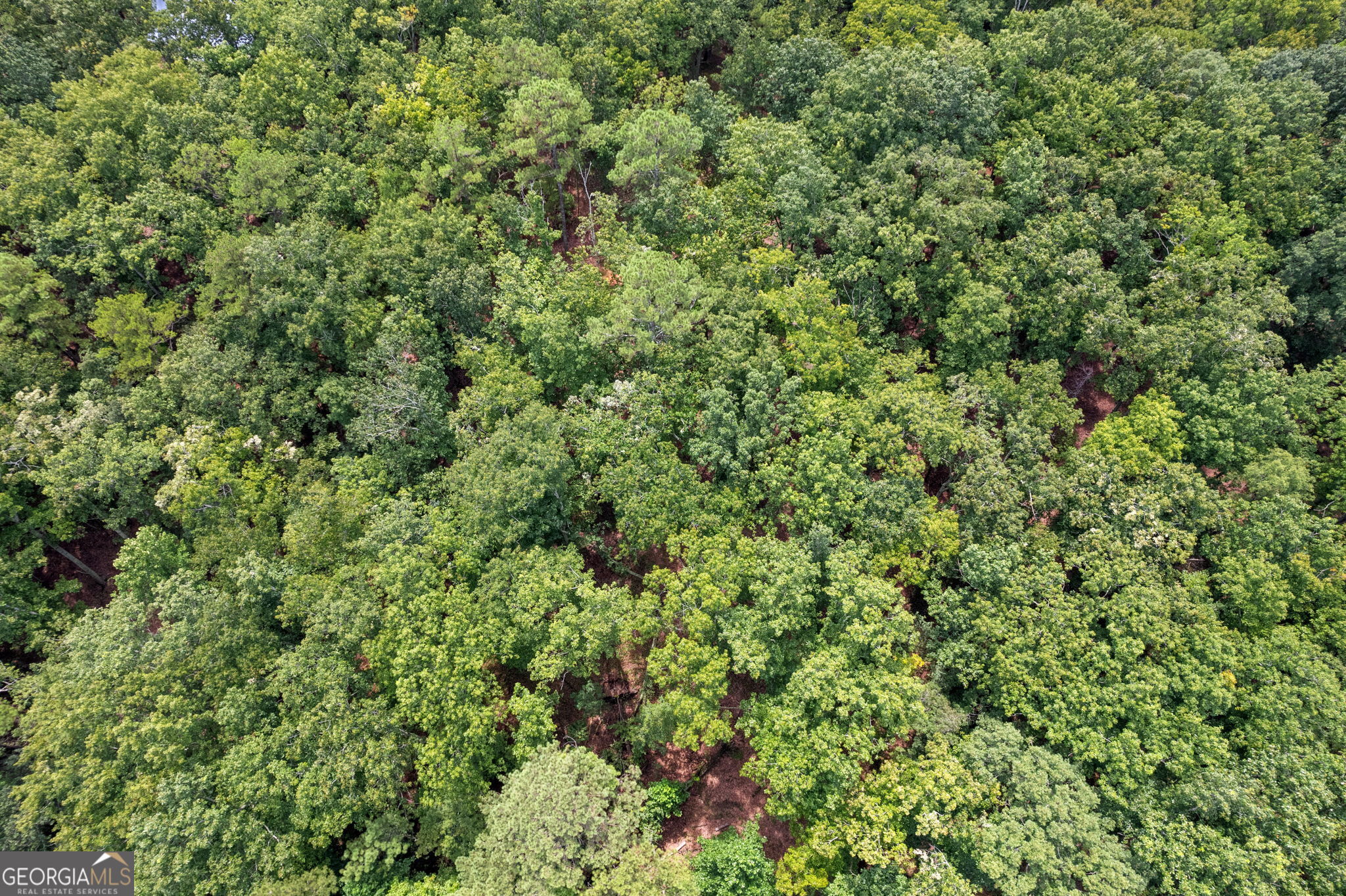 7201 Browns Mill Road Lithonia, GA 30038 - Photo 15 of 29 an outdoor view of a yard