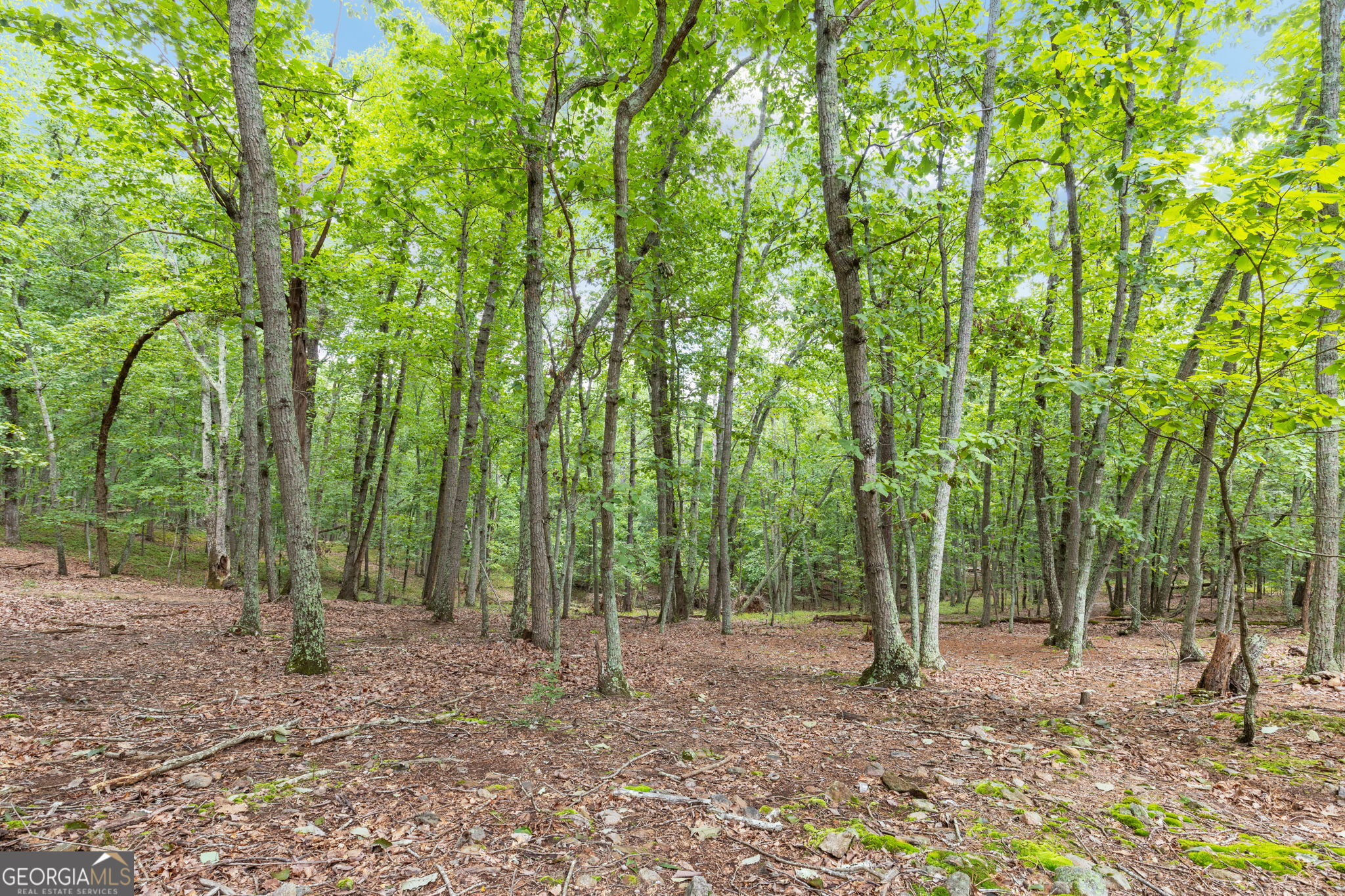 7201 Browns Mill Road Lithonia, GA 30038 - Photo 26 of 29 a view of outdoor space and tree