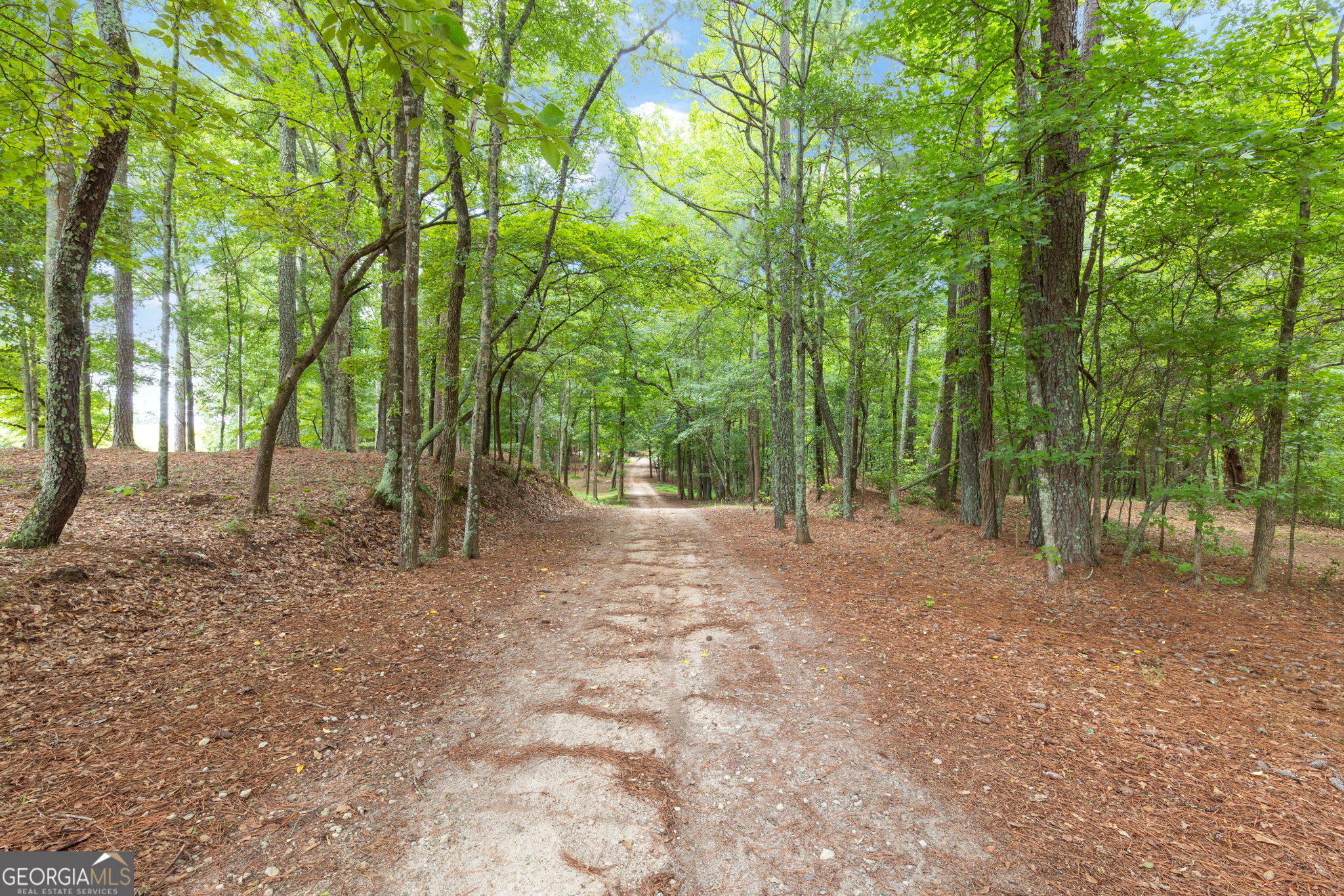 7201 Browns Mill Road Lithonia, GA 30038 - Photo 27 of 29 a view of outdoor space with trees