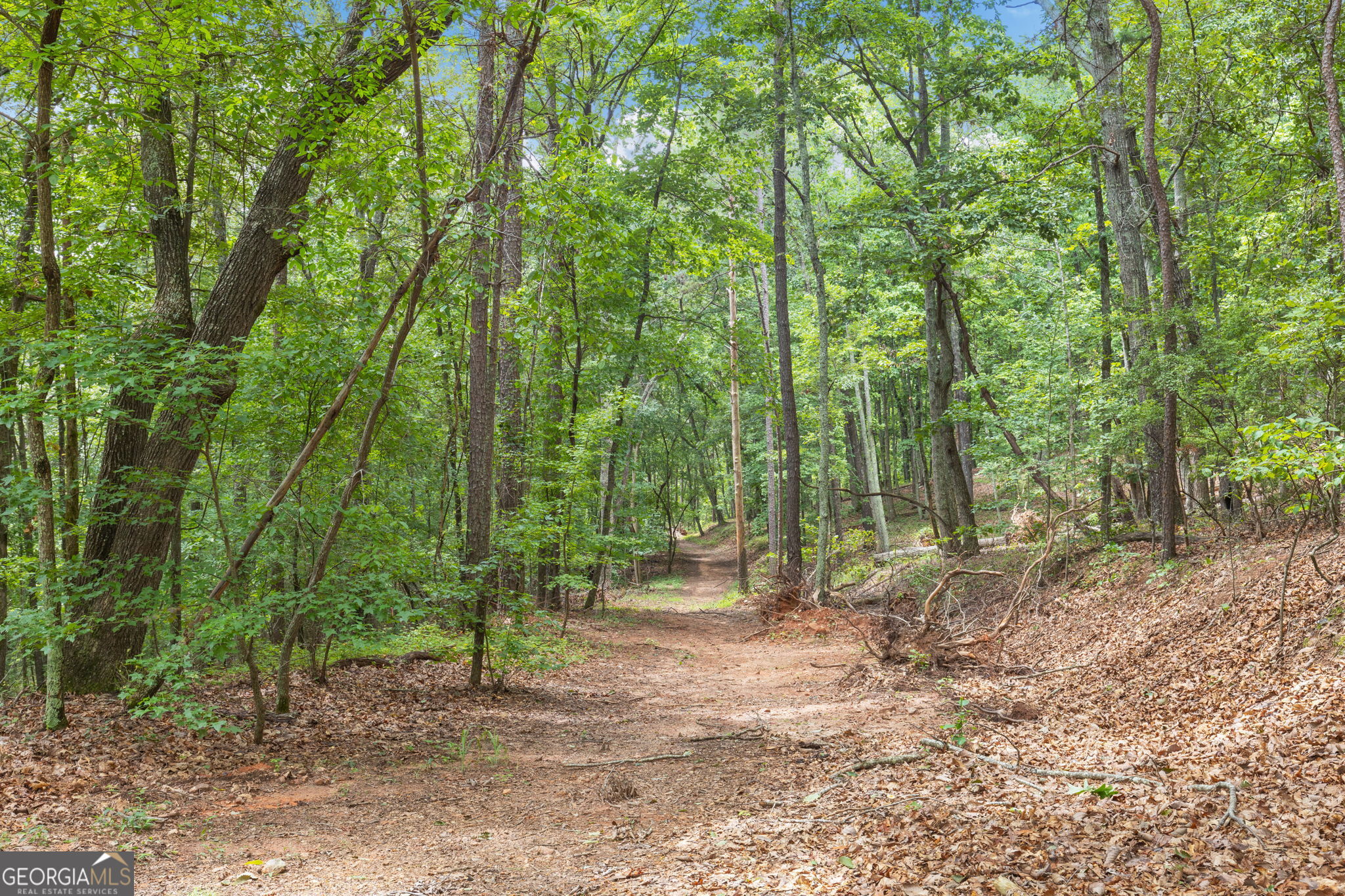 7201 Browns Mill Road Lithonia, GA 30038 - Photo 28 of 29 a view of outdoor space and trees