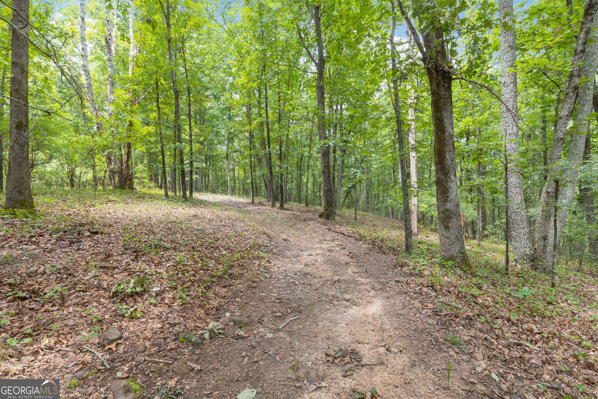 7201 Browns Mill Road Lithonia, GA 30038 - Photo 8 of 29 a view of outdoor space with trees