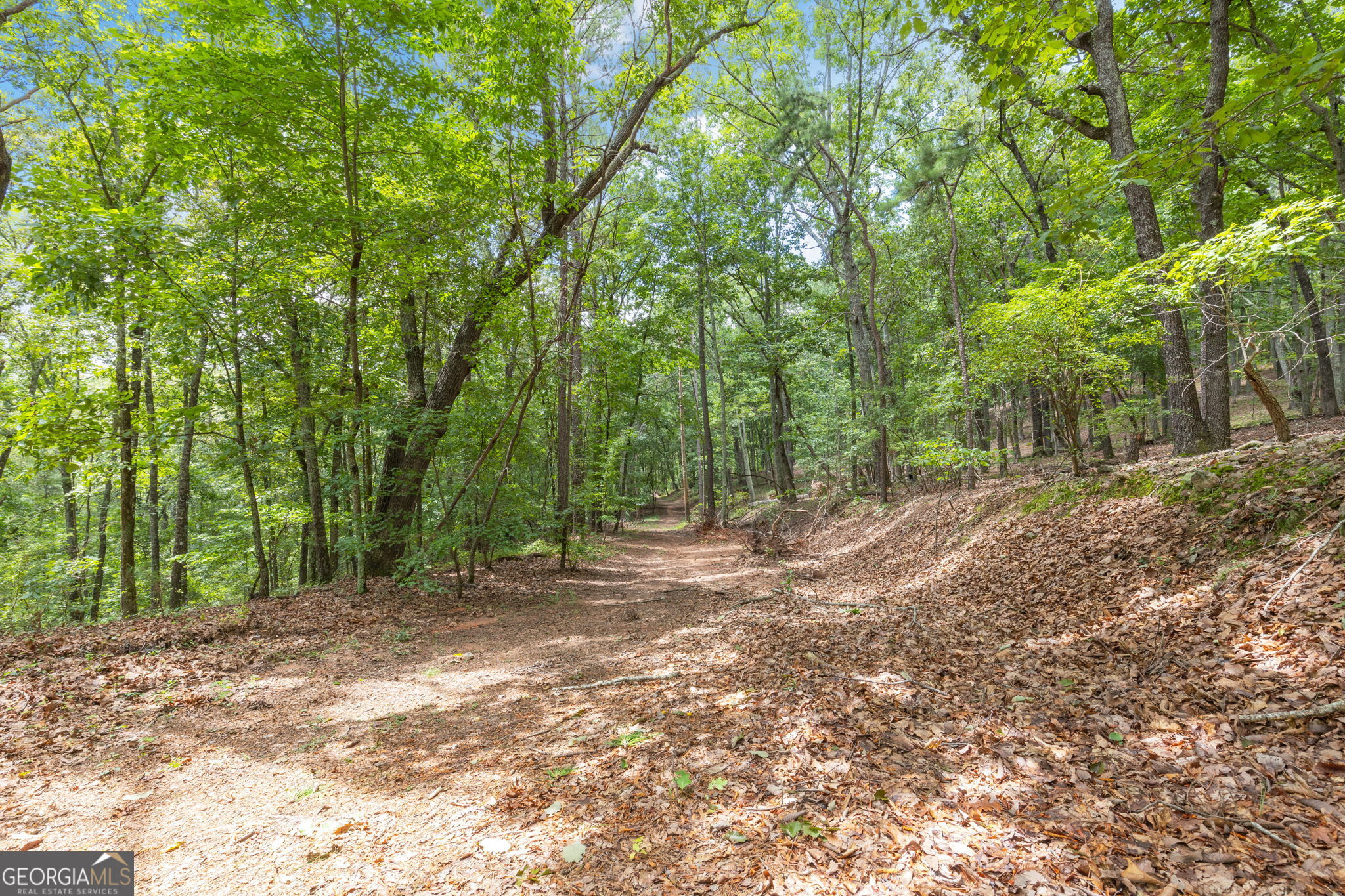 7201 Browns Mill Road Lithonia, GA 30038 - Photo 9 of 29 a view of backyard with green space