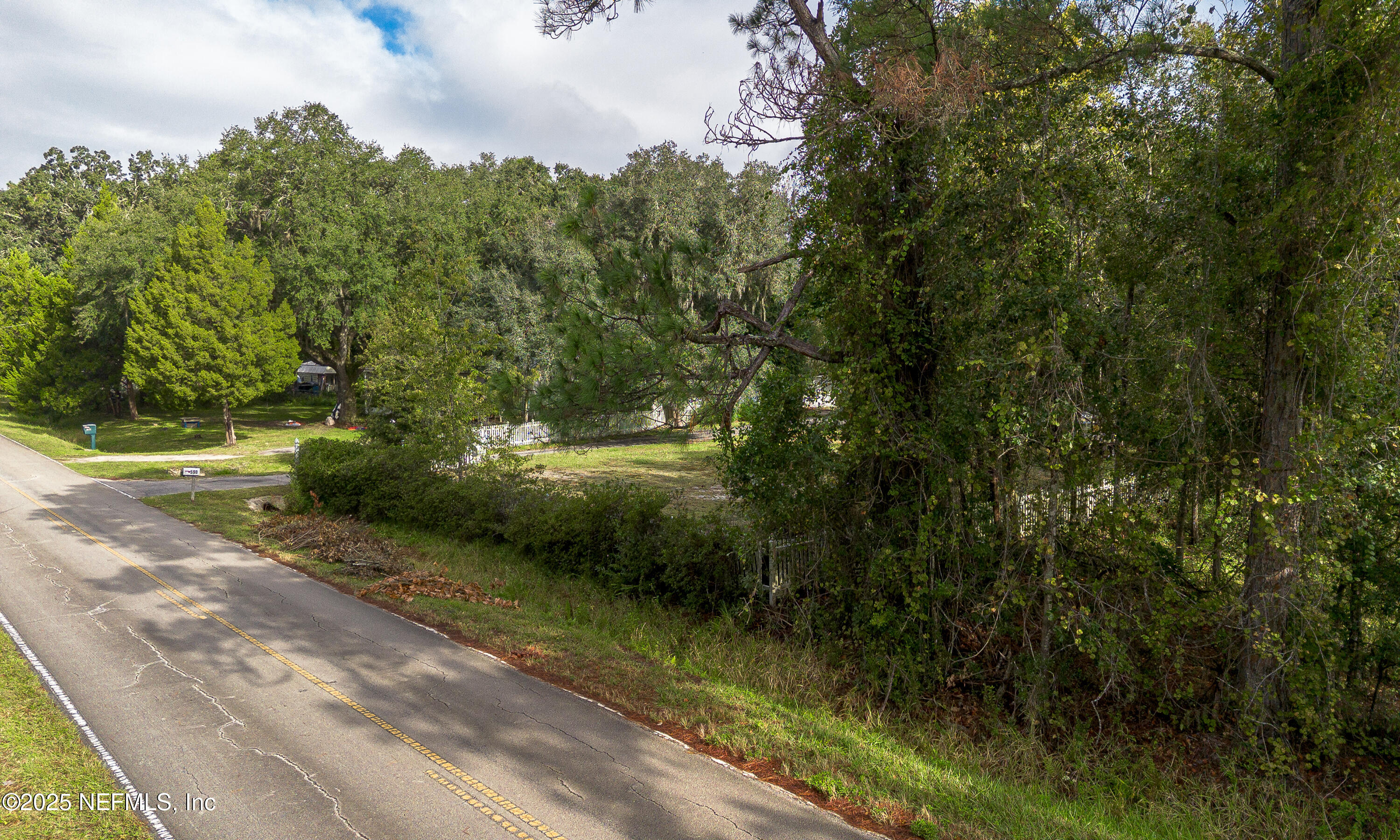 590 Palmetto Bluff Road Palatka, FL 32177 - Photo 9 of 13 a view of a street with a trees