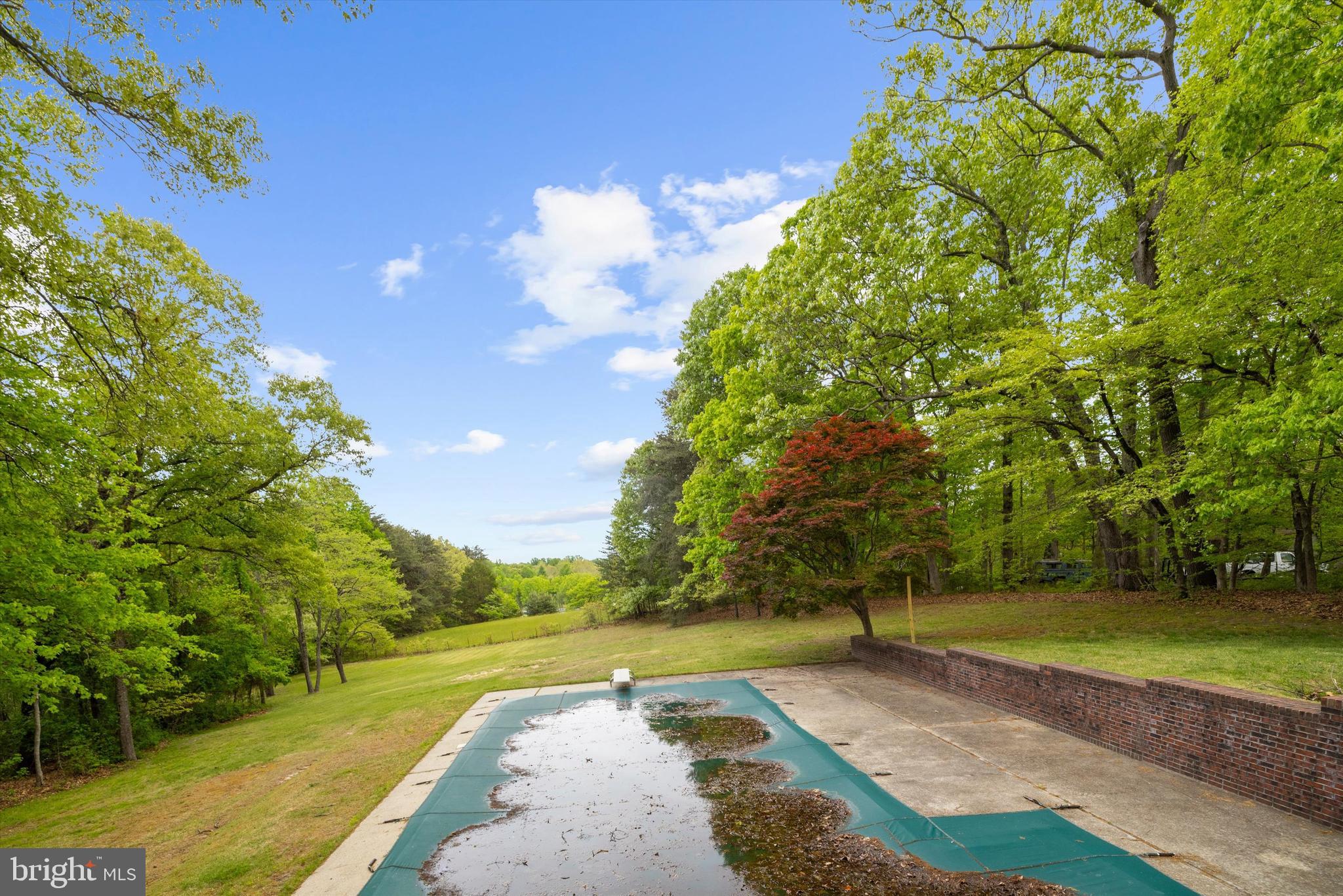 1159 Dicus Mill Road Millersville, MD 21108 - Photo 56 of 81 a view of a garden with large trees