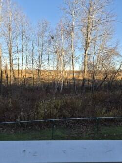 1373 Post Road, Unit 2C Wells, ME 04090 - Photo 15 of 16 2 C VIEW FROM DECK