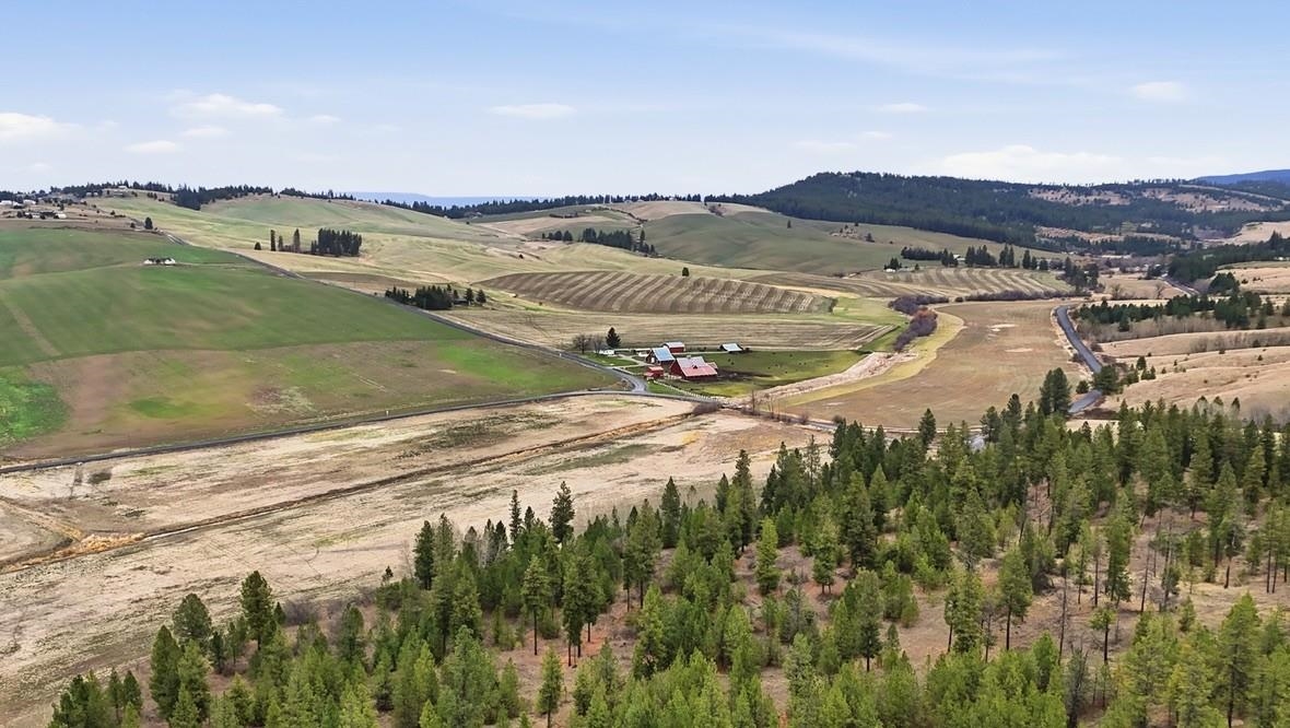 10808 South Jackson Road Mica, WA 99023 - Photo 16 of 23