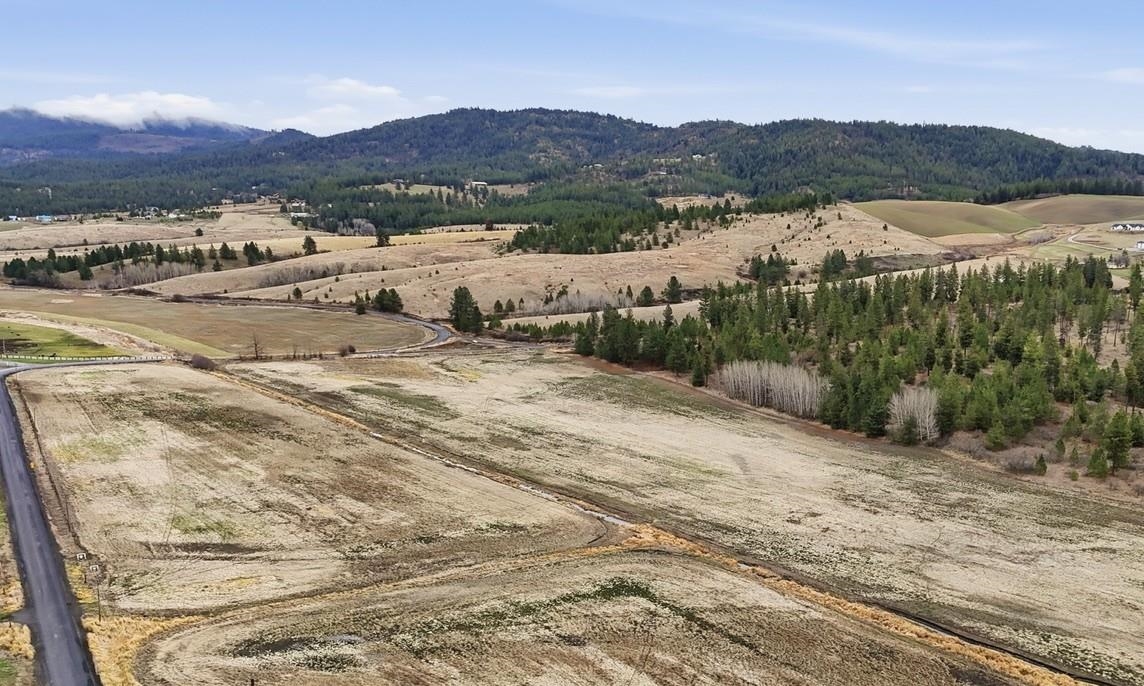 10808 South Jackson Road Mica, WA 99023 - Photo 17 of 23