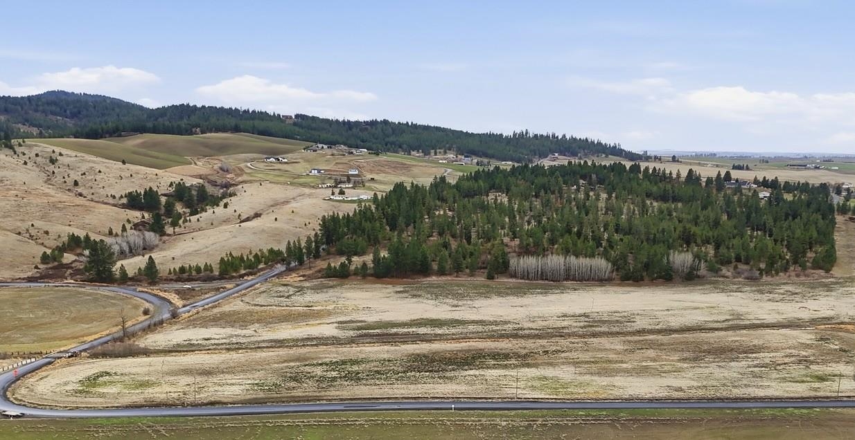 10808 South Jackson Road Mica, WA 99023 - Photo 18 of 23