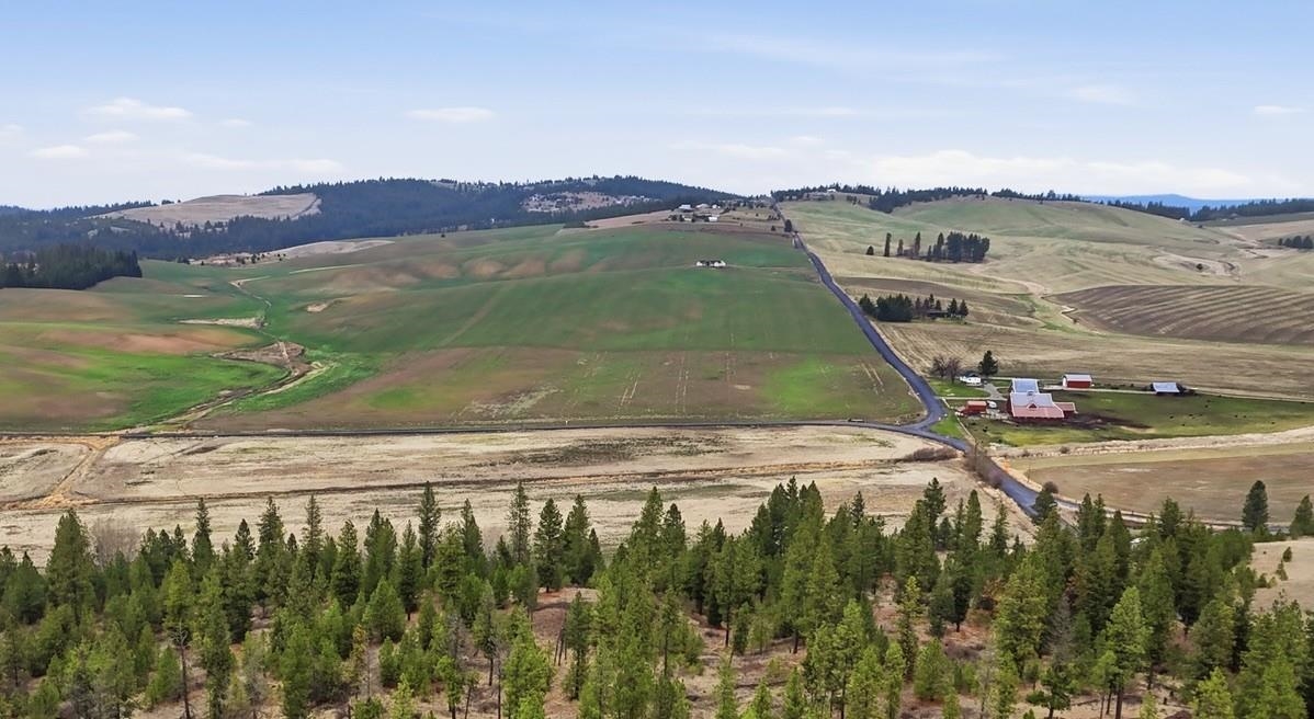 10808 South Jackson Road Mica, WA 99023 - Photo 20 of 23