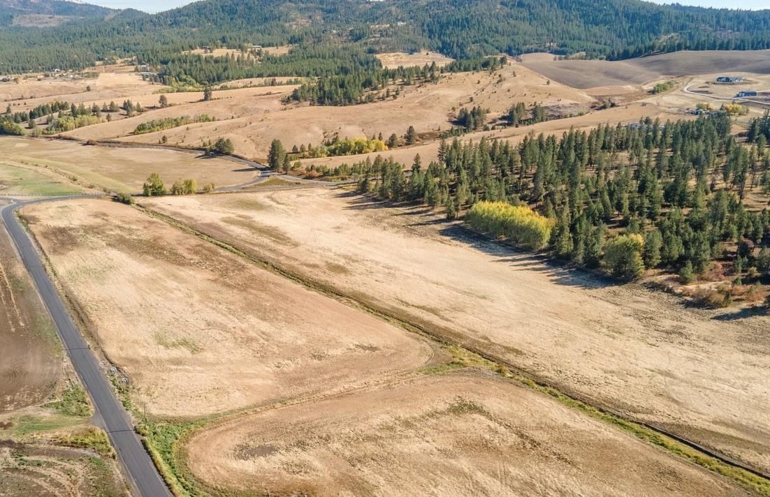 10808 South Jackson Road Mica, WA 99023 - Photo 2 of 23