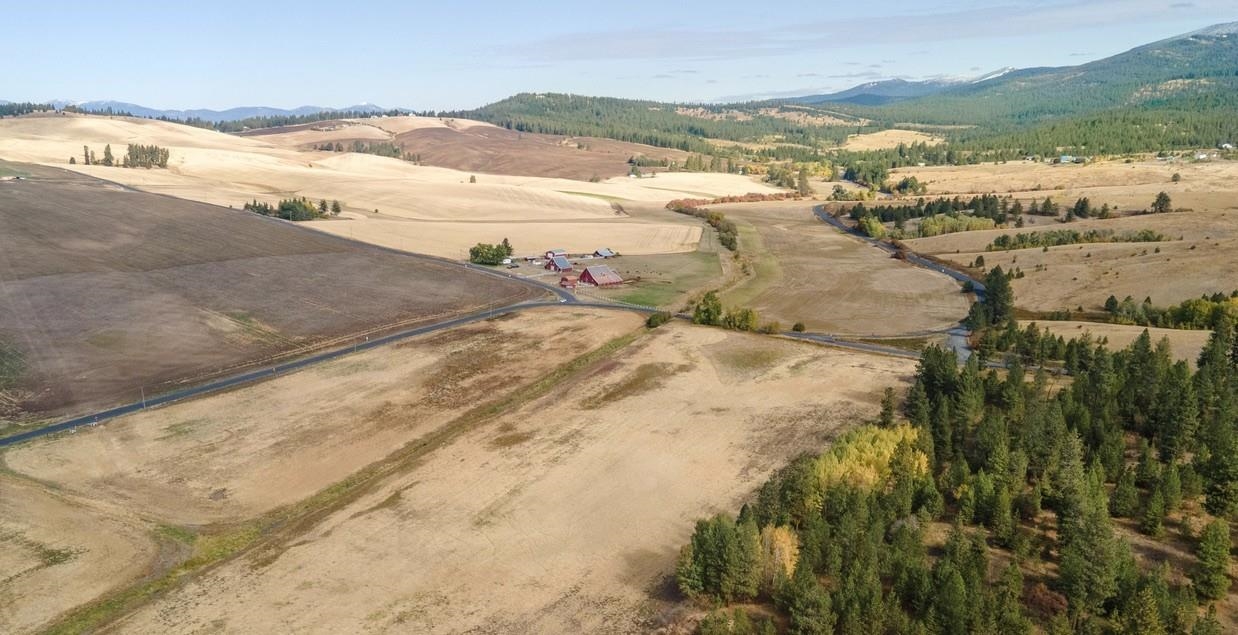 10808 South Jackson Road Mica, WA 99023 - Photo 7 of 23
