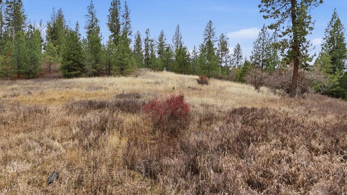 10808 South Jackson Road Mica, WA 99023 - Photo 8 of 23