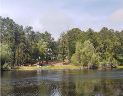 a view of lake with trees