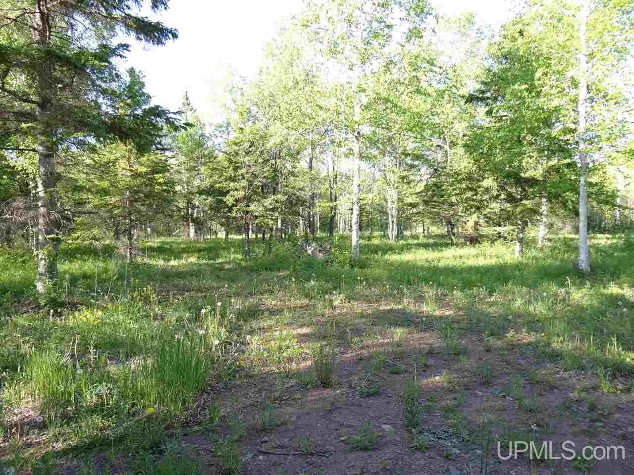 Tbd Oikarainen Road Hancock, MI 49913 - Photo 5 of 18