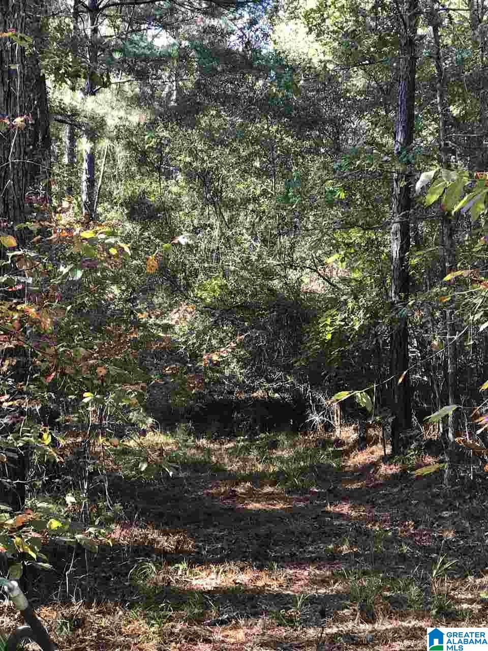 0 County Road 546 Verbena, AL 36091 - Photo 11 of 13