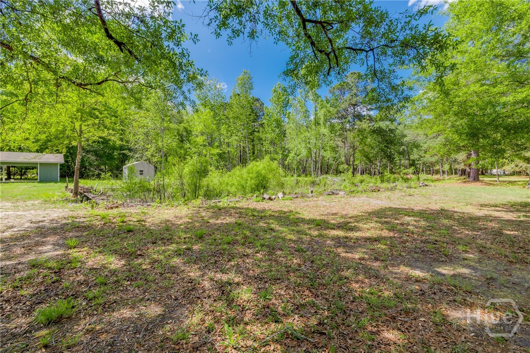 331 Planters Drive Ellabell, GA 31308 - Photo 30 of 54