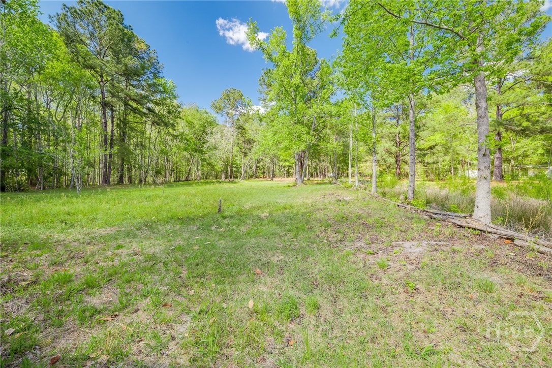 331 Planters Drive Ellabell, GA 31308 - Photo 32 of 54