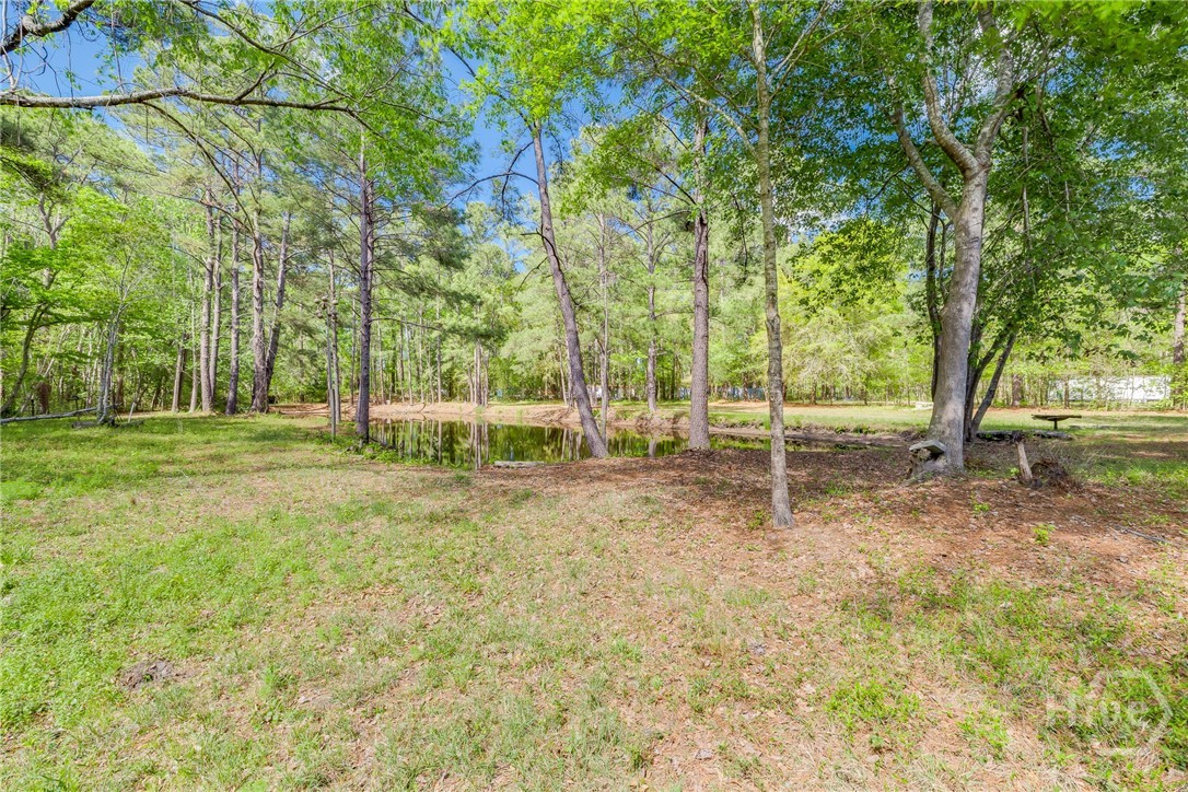 331 Planters Drive Ellabell, GA 31308 - Photo 33 of 54