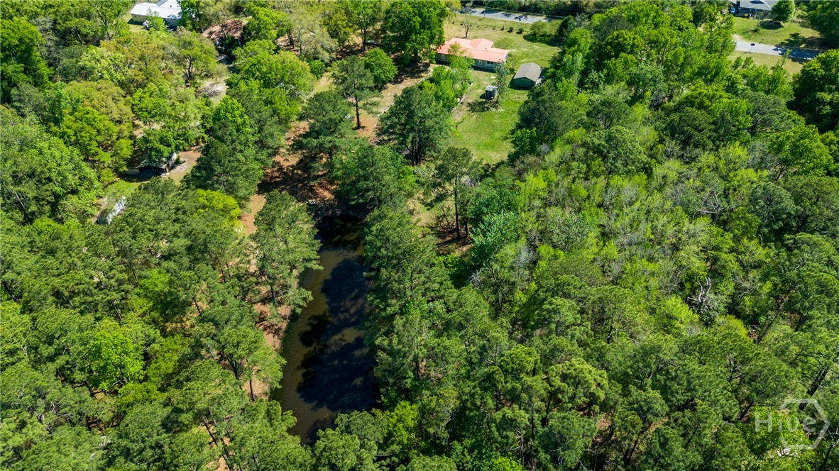 331 Planters Drive Ellabell, GA 31308 - Photo 45 of 54