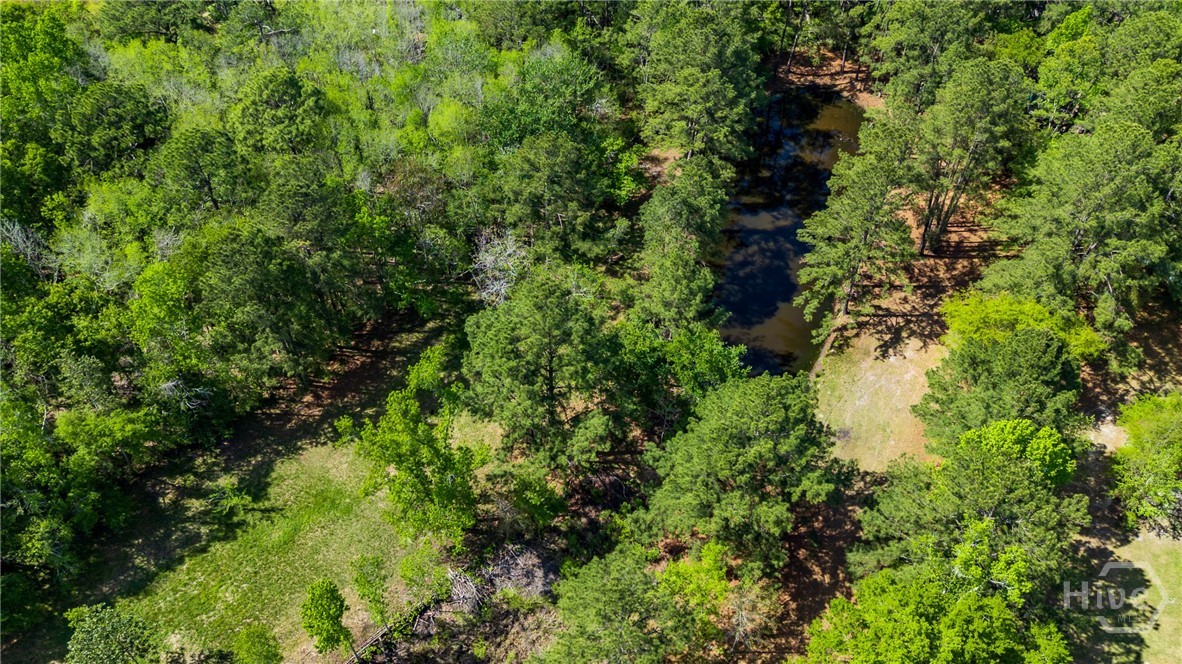 331 Planters Drive Ellabell, GA 31308 - Photo 47 of 54