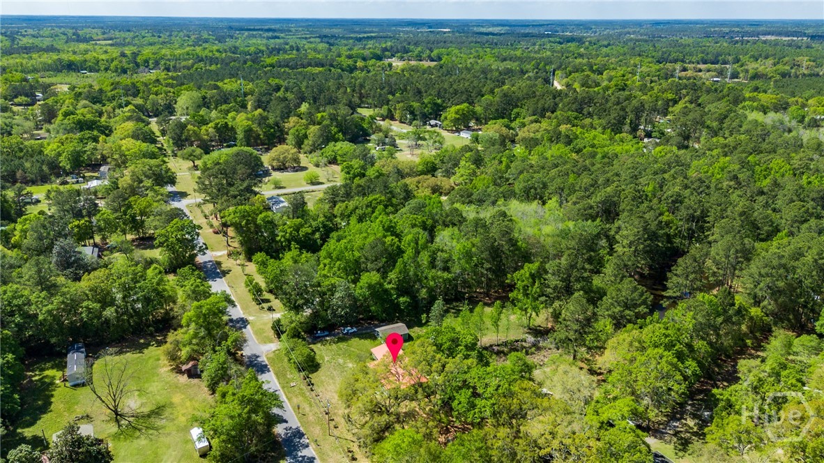 331 Planters Drive Ellabell, GA 31308 - Photo 49 of 54