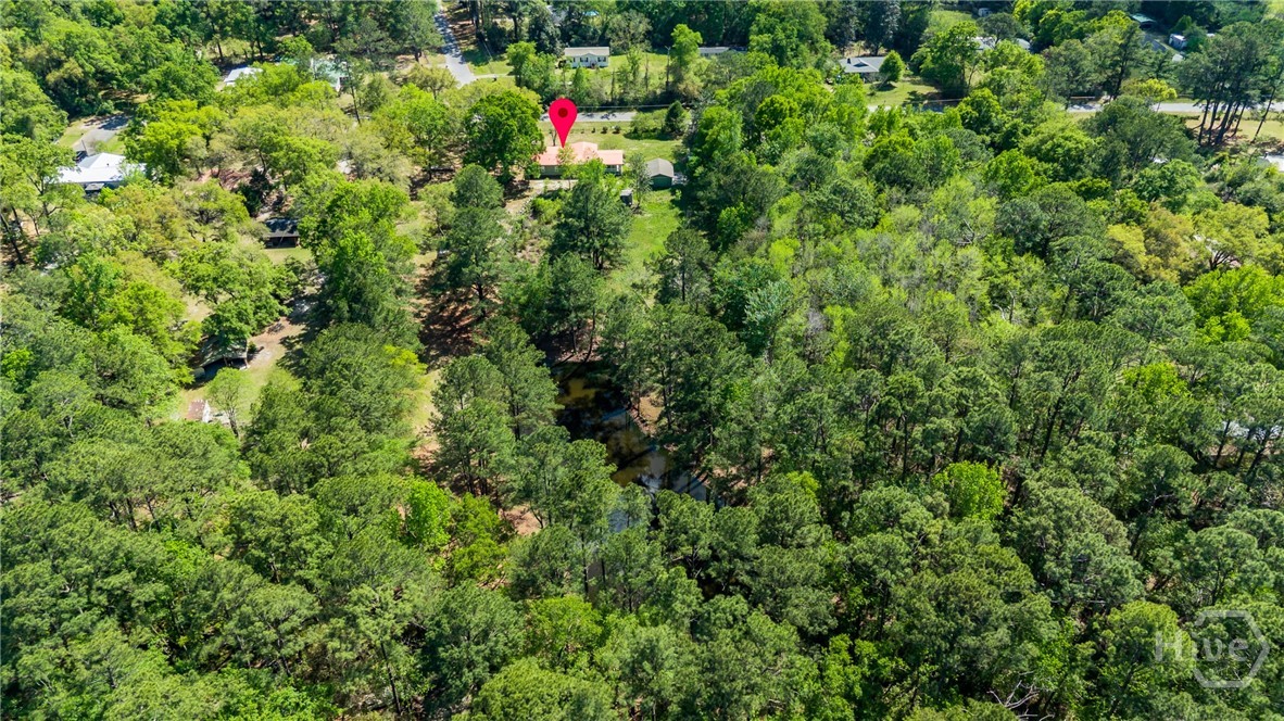 331 Planters Drive Ellabell, GA 31308 - Photo 52 of 54