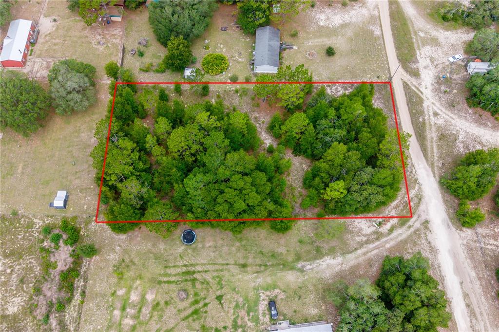 Tbd Northeast 115th Street Bronson, FL 32621 - Photo 5 of 8
