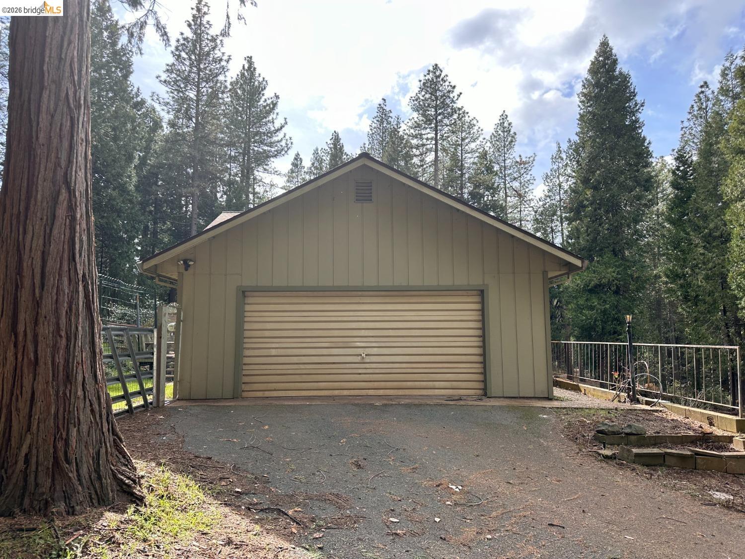 19071 West Allan Volcano, CA 95689 - Photo 18 of 42 a view of backyard and trees