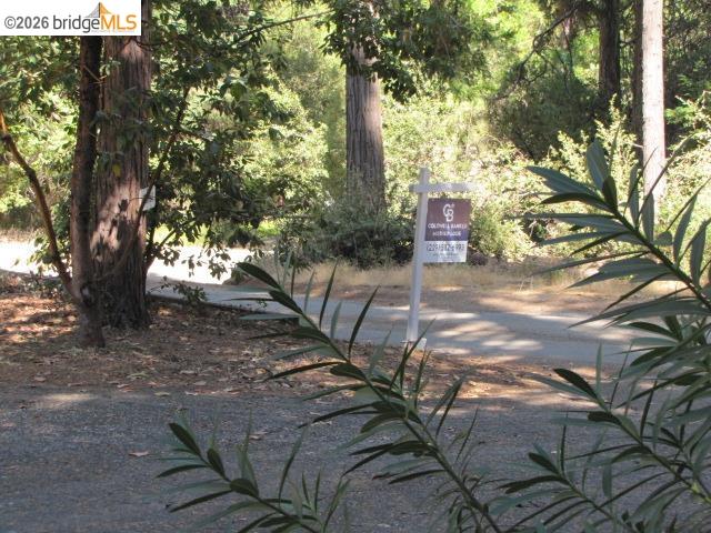 19071 West Allan Volcano, CA 95689 - Photo 25 of 42 a picture of trees