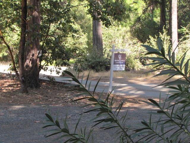 19071 West Allan Volcano, CA 95689 - Photo 25 of 42 View of street