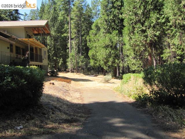19071 West Allan Volcano, CA 95689 - Photo 35 of 42 a view of house with yard