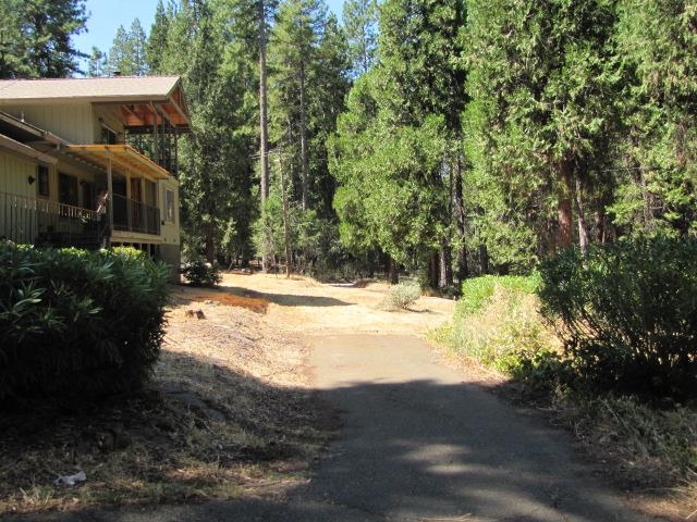 19071 West Allan Volcano, CA 95689 - Photo 35 of 42 View of yard