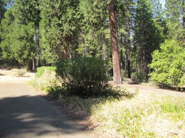 $269,900 | 19071 West Allan, Volcano, CA 95689