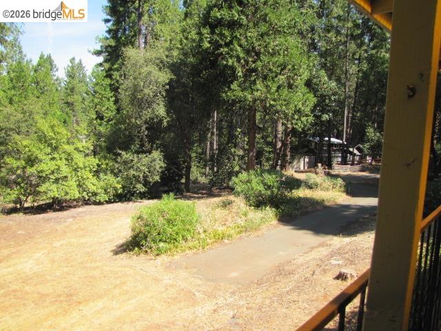 19071 West Allan Volcano, CA 95689 - Photo 38 of 42 a view of back yard of the house