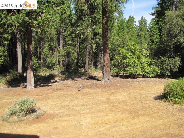 19071 West Allan Volcano, CA 95689 - Photo 39 of 42