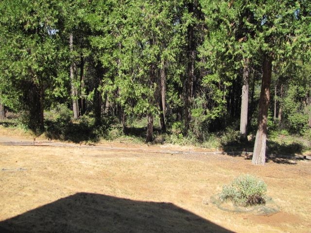 19071 West Allan Volcano, CA 95689 - Photo 40 of 42 View of green lawn