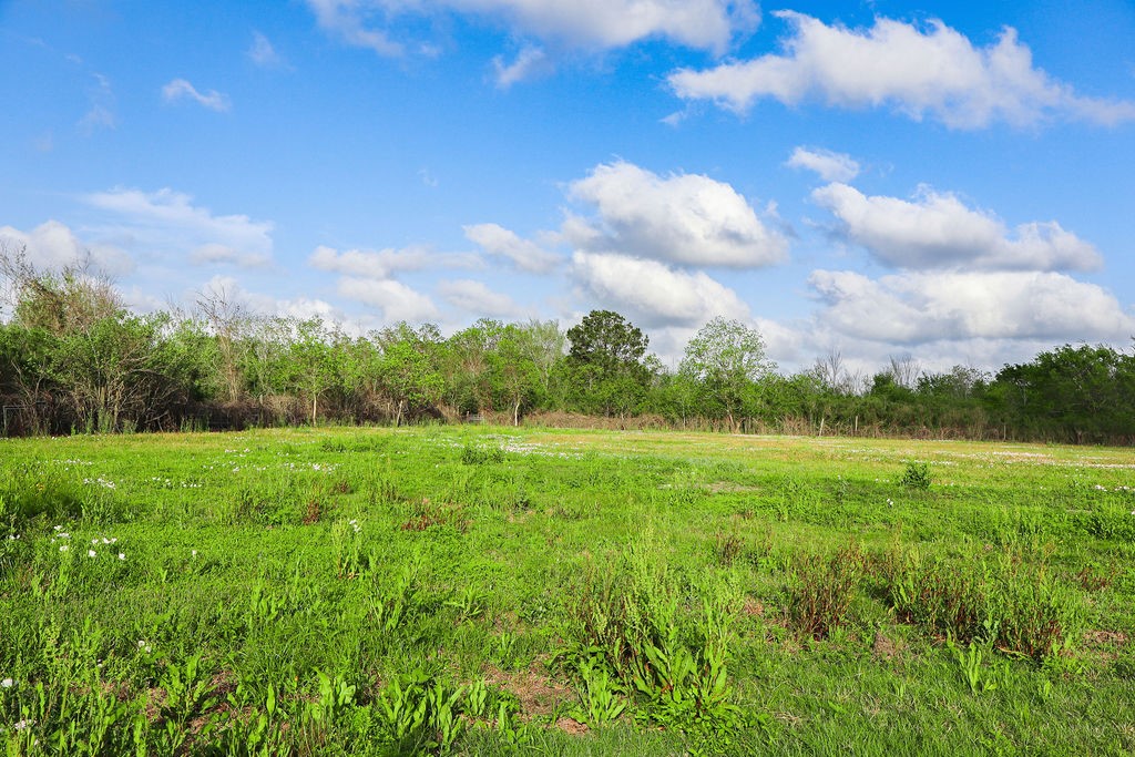1115 Farm To Market 1462 Rosharon, TX 77583 - Photo 20 of 20