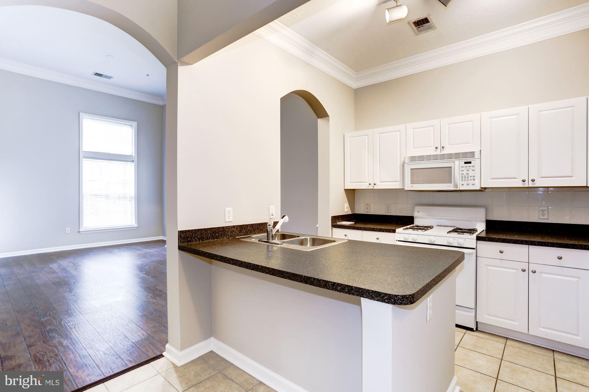 7 Booth Street, Unit 111 Gaithersburg, MD 20878 - Photo 5 of 27 Kitchen