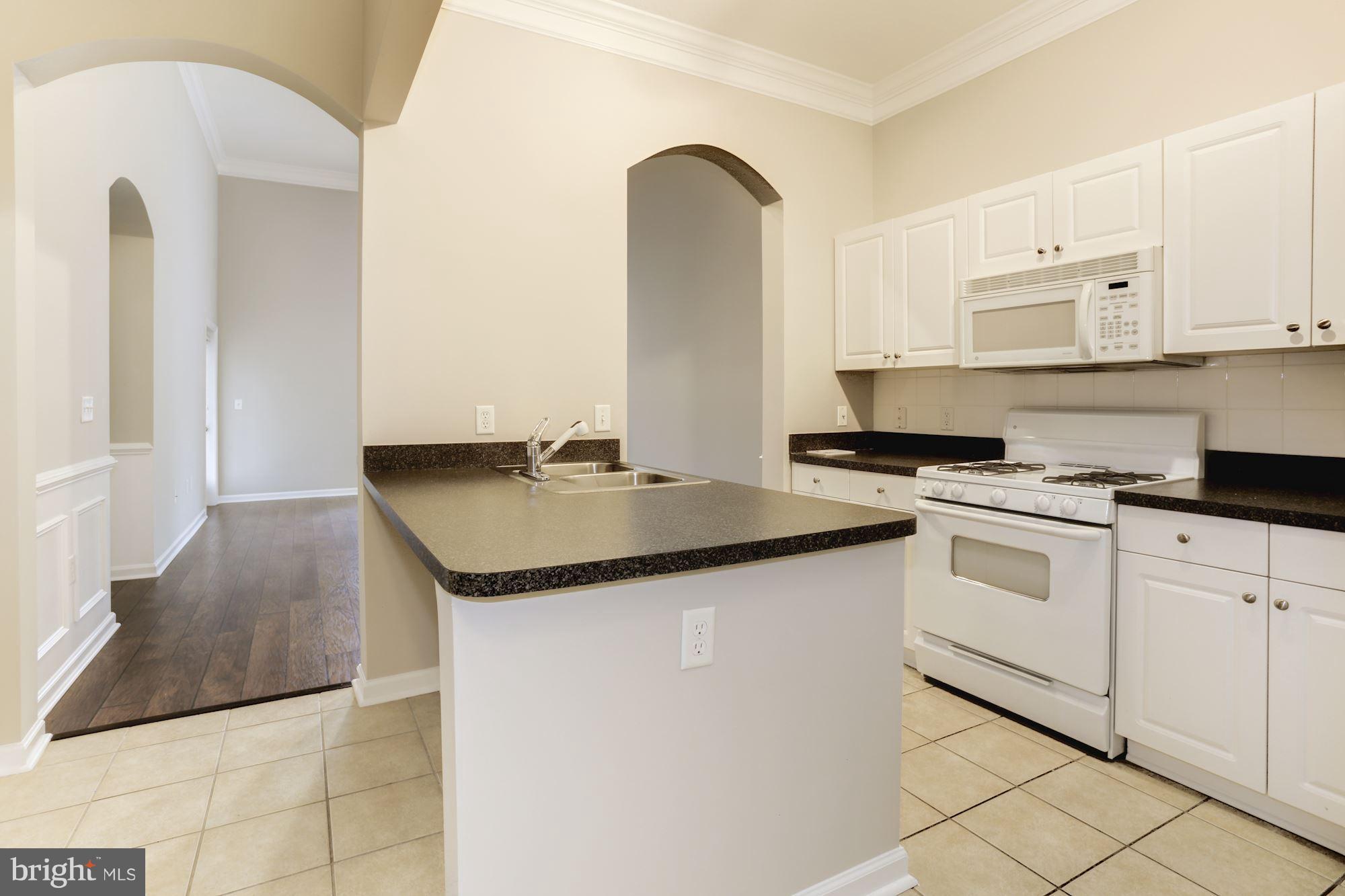 7 Booth Street, Unit 111 Gaithersburg, MD 20878 - Photo 9 of 27 Kitchen