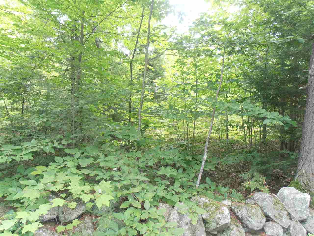 South New Boston Road Francestown, NH 03043 - Photo 1 of 4 Gallery Image 1
