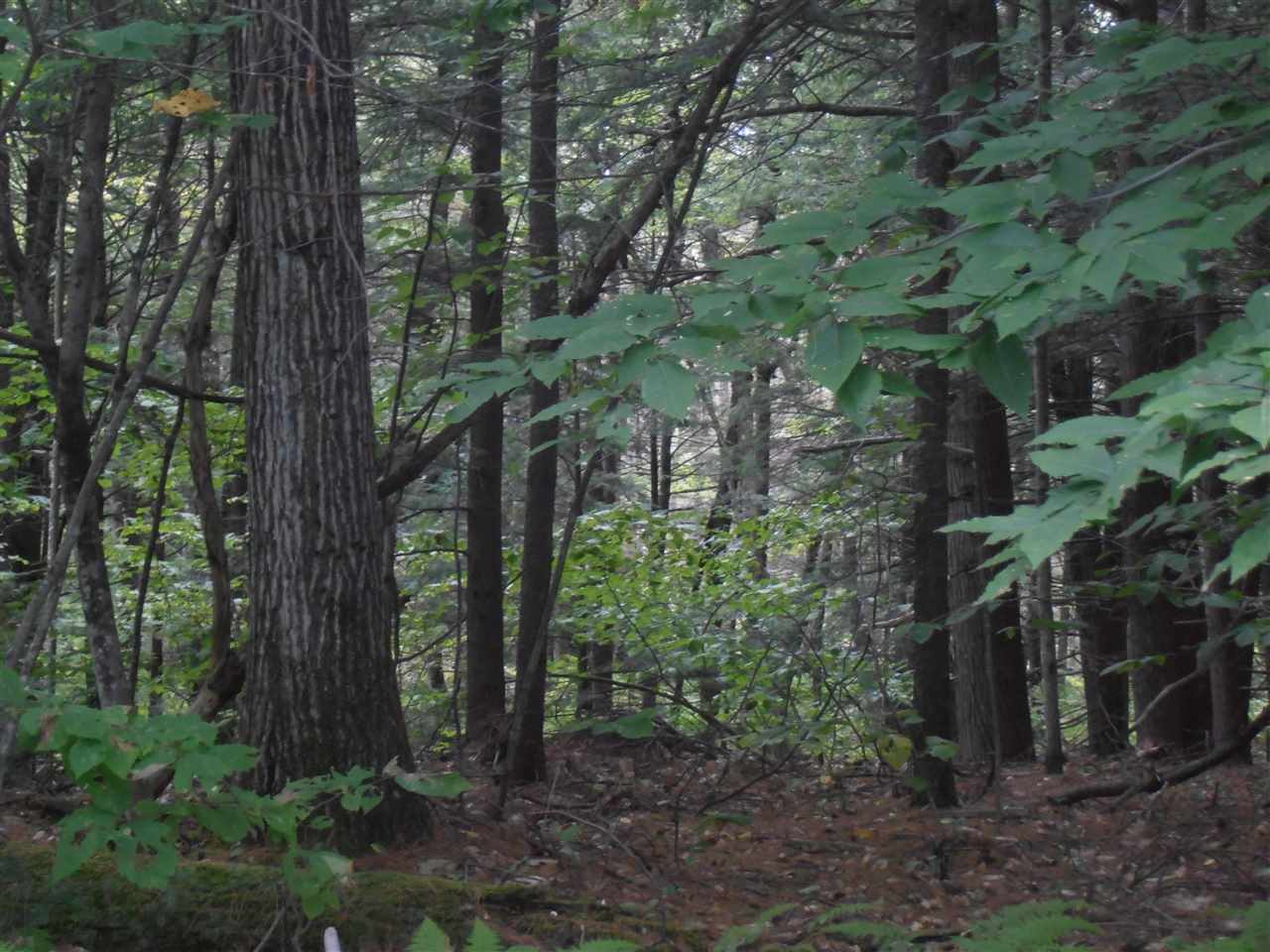 South New Boston Road Francestown, NH 03043 - Photo 3 of 4 Gallery Image 3
