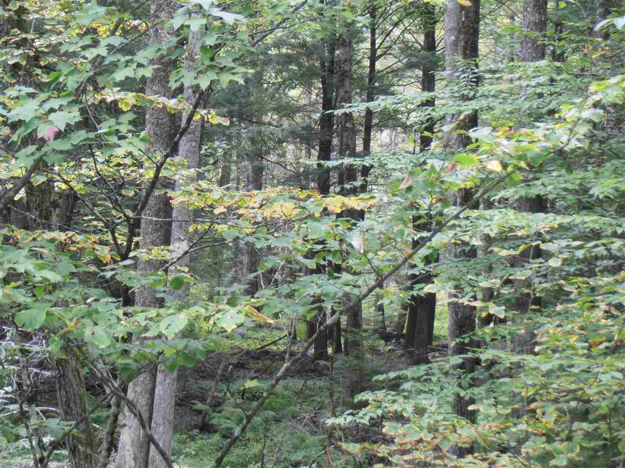 South New Boston Road Francestown, NH 03043 - Photo 4 of 4 Gallery Image 4