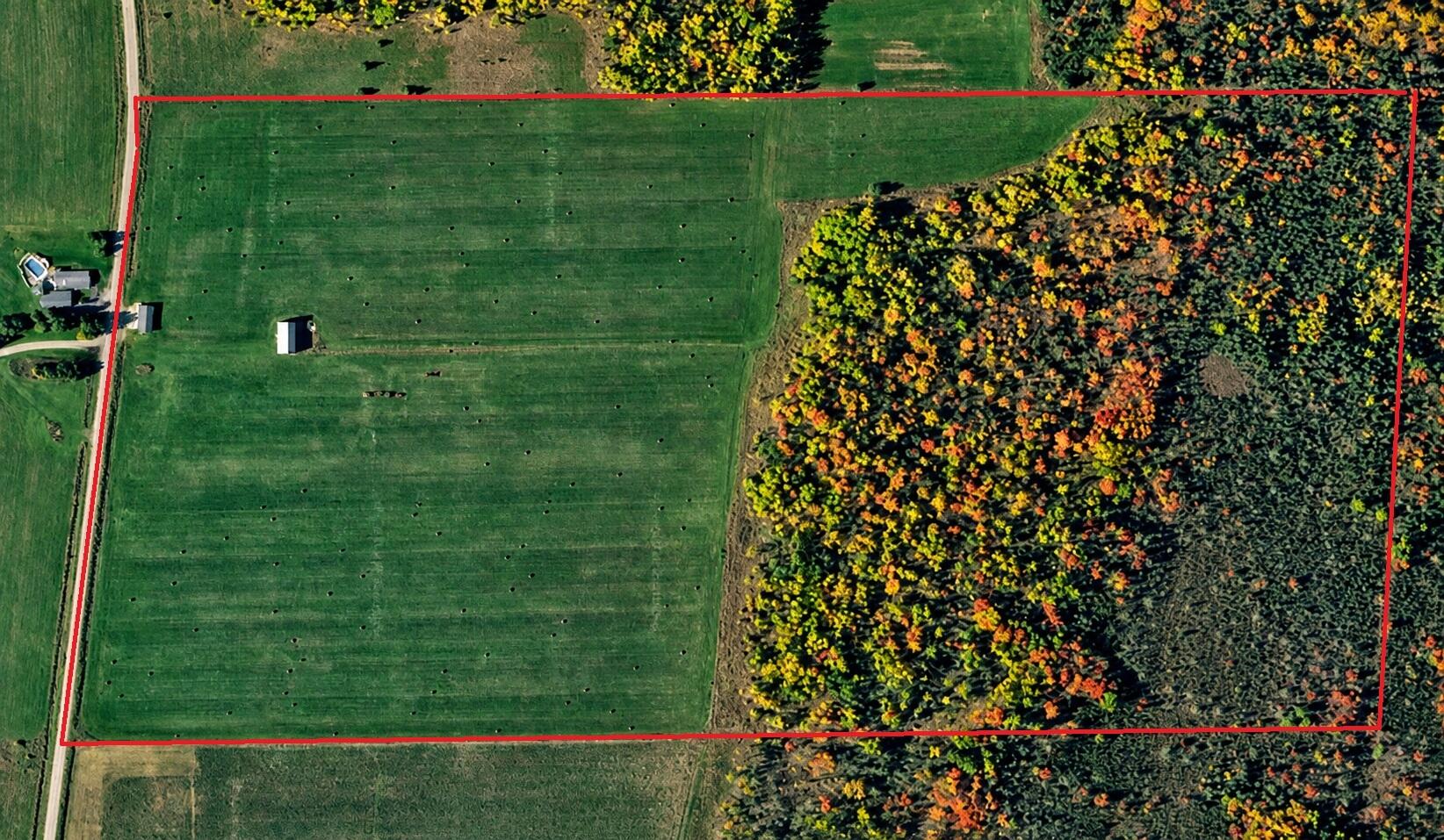 12593 East Clay Road Goetzville, MI 49736 - Photo 3 of 10 Google Earth Redline 80 Acres. 45 tillable 35 wooded.