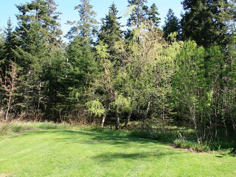 78 Blastow Cove Road Deer Isle, ME 04650 - Photo 8 of 12 Yard/Garden.