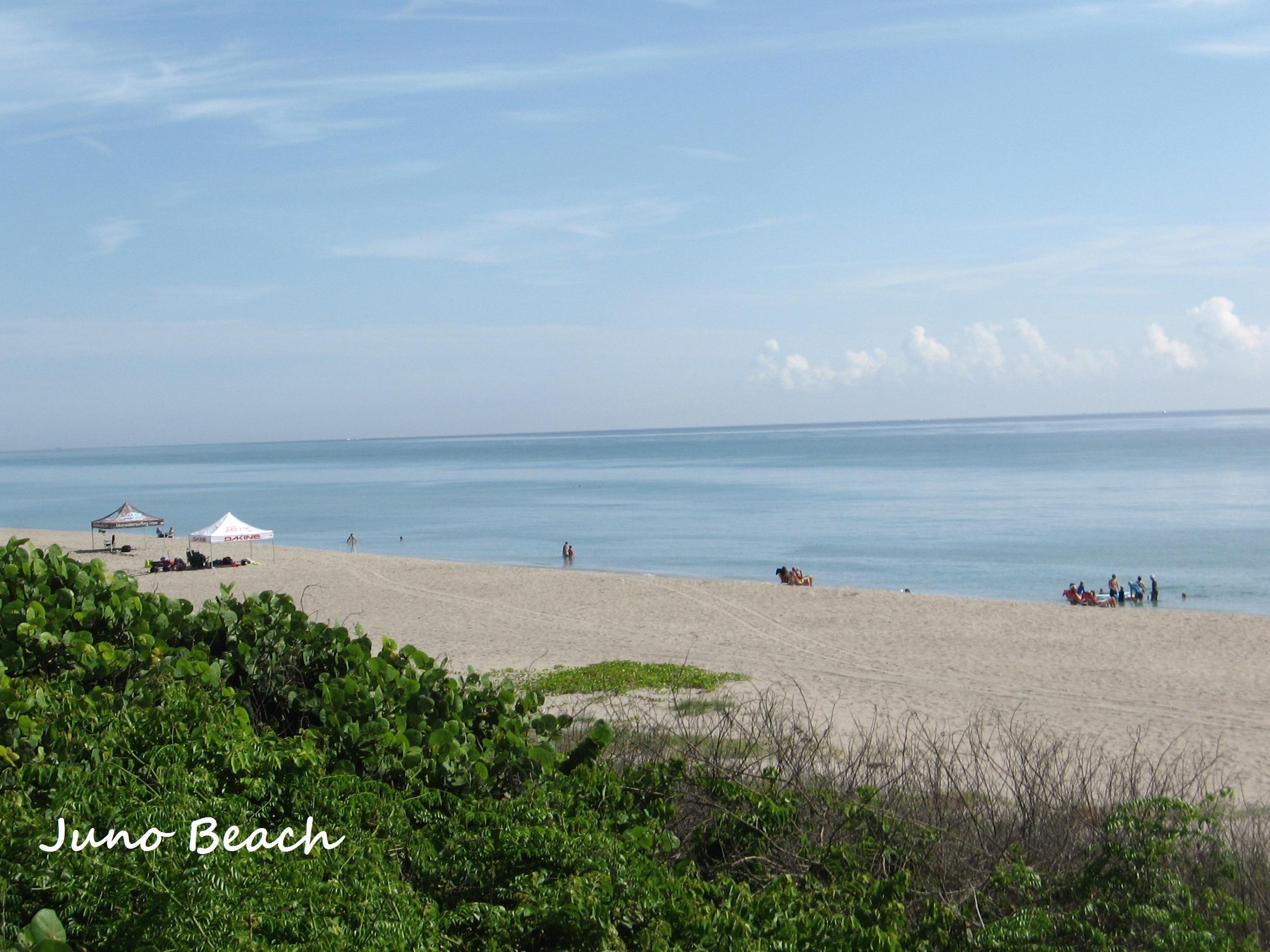 4917 Bimini Road Tequesta, FL 33469 - Photo 44 of 53 Jupiter Beach